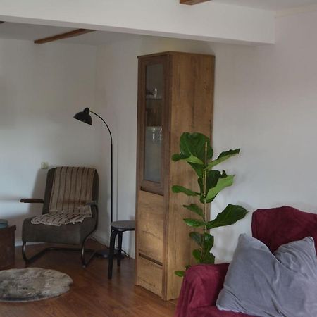 Ferienwohnung Grafenland Dersum Exteriör bild